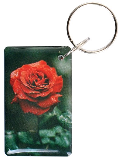 Ключ Роза Красная
