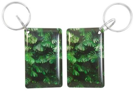 Ключ Тропики Монстера